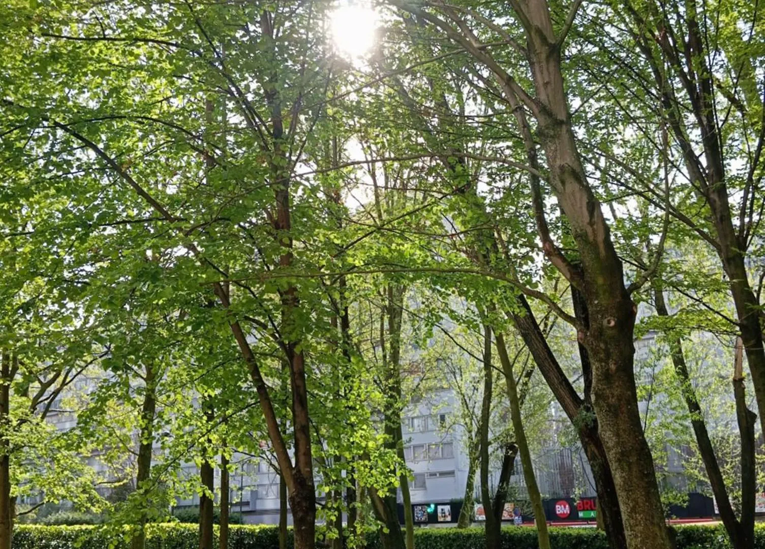 **** Hotel A&O Brussel Centrum Belgium
